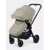 Коляска прогулочная Rant Flex 2025 RA078 Light green