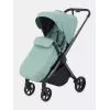 Коляска прогулочная Rant Golf Sage green
