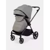 Коляска прогулочная Rant Nero Carbon Grey