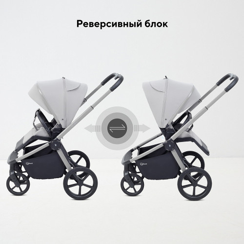 Детская прогулочная коляска Rant Flex Color с автокреслом Evomax Black Stone Grey