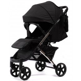 Прогулочная коляска Peppy Polo 2.0 Silver black хром рама, сумка