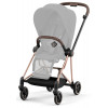 Прогулочная коляска Cybex Mios III Rosegold complete Leaf Green