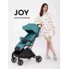 Коляска прогулочная Rant Basic Joy 2025 Green