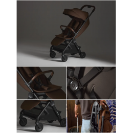 Купить прогулочную коляску Anex Air-Q, в цвете Doppio