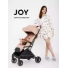 Коляска прогулочная Rant Basic Joy 2025 Beige