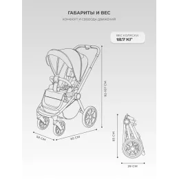 Коляска прогулочная Rant Flex 2025 RA078 Graphite