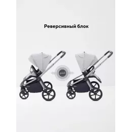 Коляска прогулочная Rant Flex Color Stone grey