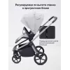 Коляска прогулочная Rant Flex Color Stone grey