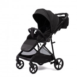 Купить прогулочную коляску Peppy Amici, в цвете Black (рама Black)