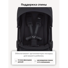 Прогулочная коляска Anex Ride, в цвете Nutty