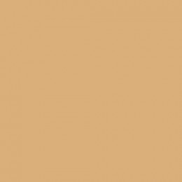 Прогулочная коляска Carrello Atom M CRL-5527 Mango Beige