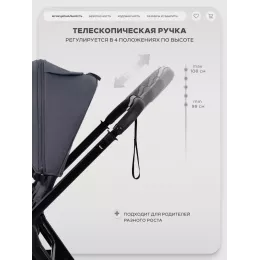 Коляска прогулочная Rant Basic Wave Graphite