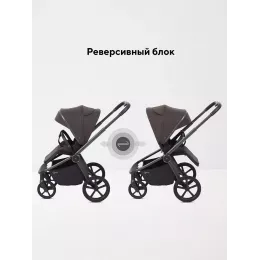 Коляска прогулочная Rant Flex Color Shine brown