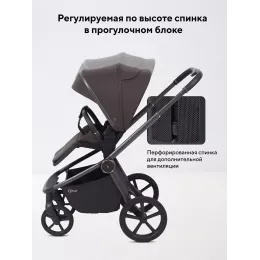 Коляска прогулочная Rant Flex Color Shine brown