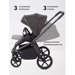Коляска прогулочная Rant Flex Color Shine brown