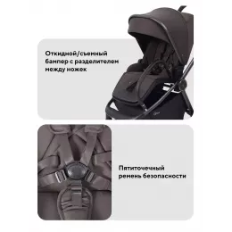 Коляска прогулочная Rant Flex Color Shine brown