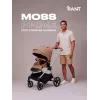 Коляска прогулочная Rant Moss Prime Beige