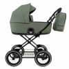 ROAN Коляска 2 в1 Bass Next Classic короб + прогулка Sage Green/Black/руч.Black(2 места)12d