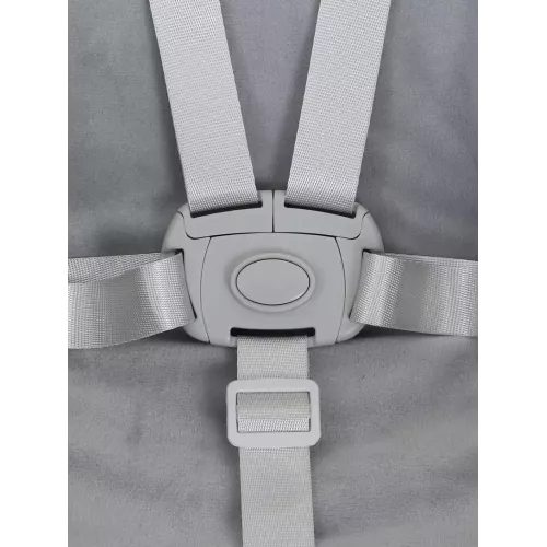 Стульчик для кормления Rant Basic Mango Green