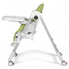 Стульчик для кормления Peg Perego Prima Pappa Follow Me Wonder Green