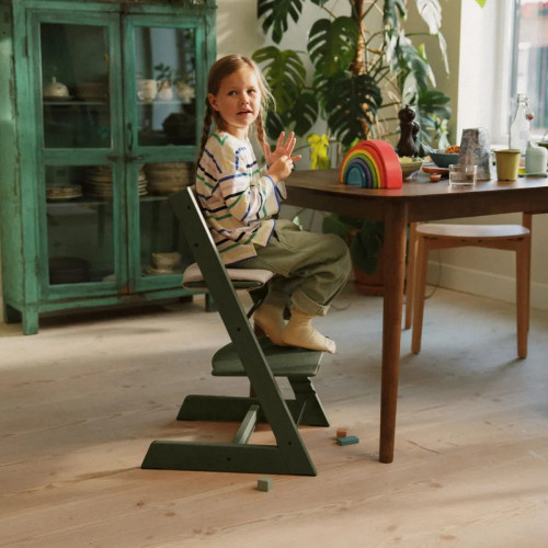 Стульчик для кормления Stokke Tripp Trapp Зеленый Мрамор (Marble Green)