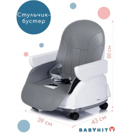 Стульчик для кормления Babyhit Biscuit BHC104 grey